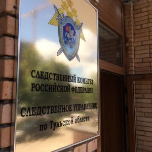 Александр Бастрыкин потребовал возбудить дело после нападений бродячих собак в Узловой