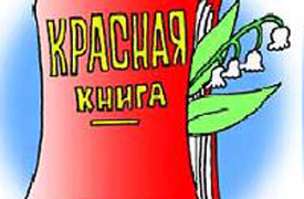 Тулякам предлагают нарисовать эмблему для областной «Красной книги»