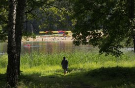 Лето вернется в Тульскую область 1 сентября