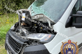 Водитель Peugeot врезался в живое препятствие в Чернском районе Тульской области