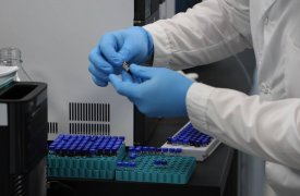 Прорыв в фармацевтике: исследователи тульского вуза научились «редактировать» молекулы гормонов