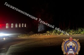 Водитель Nissan врезался в забор и протаранил иномарку в Алексине Тульской области