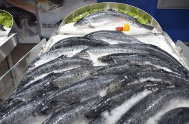Небезопасные консервы нашли в Донском Тульской области