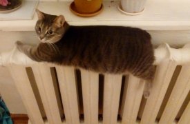 В Туле начали включать отопление: куда звонить, если батареи остаются холодными
