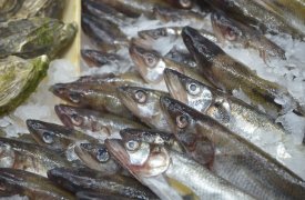 Подозрительную икру минтая нашли в Киреевском районе Тульской области