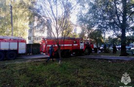 Пожилую женщину и ребенка спасли из горящего дома в Ефремове Тульской области