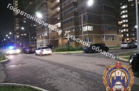 2-летняя девочка попала под колеса иномарки на улице Макаренко в Туле