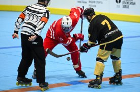 В Туле определили победителей и призеров чемпионата России по хоккею на роликах