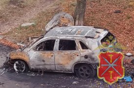 В Новомосковске мужчина поджег автомобиль неприятеля из-за оскорблений в сторону сожительницы