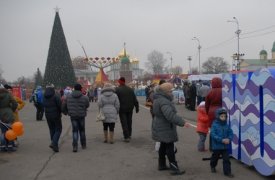 Главную елку Тулы установят уже к 1 декабря