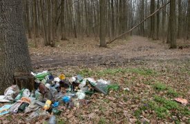 48 улиц Тулы обследовано на предмет несанкционированных свалок