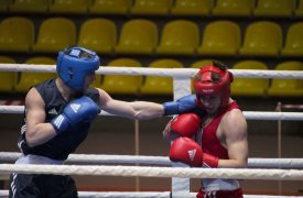 Тульские боксёры выиграли четыре "золота" на домашнем "Гран-при"