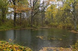 Чиновник из Тульской области незаконно «торговал» федеральными землями