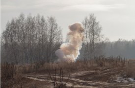 Саперы обезвредили в Тульской области 6 минометных мин