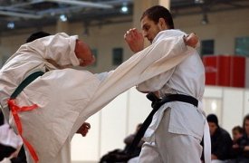 В Туле прошел Кубок России по карате-до