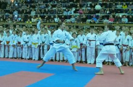 В Тулу съедутся около 200 каратистов