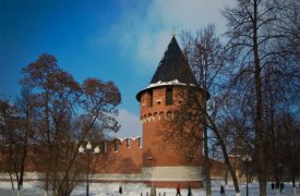 Туляков приглашают на открытие елки в Тульском кремле