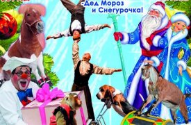 Московский цирк Никулина покажет в Туле в январе 18 представлений
