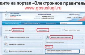 Тульские автолюбители могут сэкономить время с порталом госуслуг