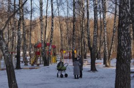 В Березовой роще Тулы не будет спортивного комплекса