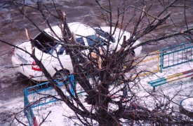 В Туле не во всех дворах работают дворники