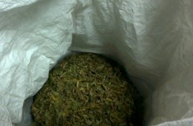 Житель Тульской области выращивал дома марихуану