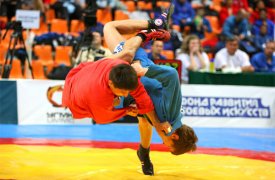 В Туле пройдут соревнования по самбо