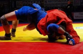 Сегодня в Туле состоится мемориальный турнир по самбо