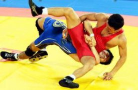 На чемпионете ЦФО тульские борцы завоевали три медали