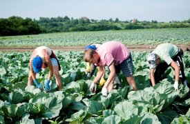 Летом 2015 года подростки будут временно трудоустроены