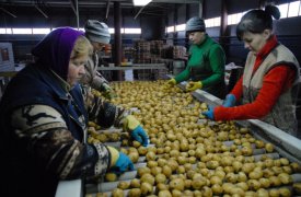24 млн. руб. выделит фермерским хозяйствам Тульской области Минсельхоз России