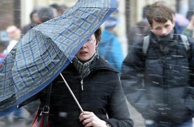 За выходные сильный ветер сорвал в Туле 11 кровель