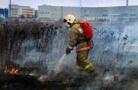 За неконтролируемое сжигание сухой травы и мусора тулякам грозит штраф