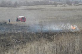 В Туле горожане бездумно поджигают траву