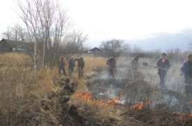 На минувшей неделе в Туле 102 раза горела трава