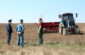 В тульской колонии-поселении посеют 200 гектар ячменя