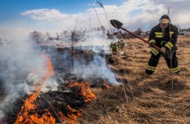 В Туле продолжает гореть сухая трава