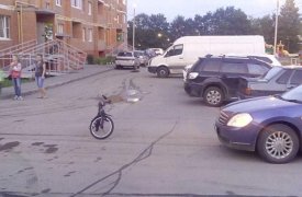 За сутки в Тульской области в ДТП пострадали трое детей