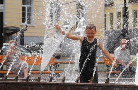 Всю неделю в Туле будет жара