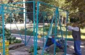 В Туле убирают незаконные бахчевые развалы