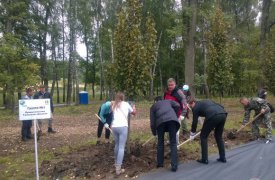 В Туле стартовала акция 