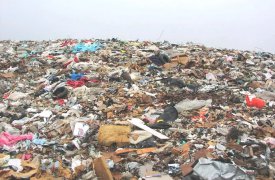 В Туле начали благоустраивать свалку
