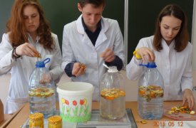 Вклад в экологию может сделать каждый туляк