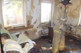 В Тульской области пенсионерка отравилась угарным газом