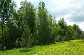 В Тульской области экс-руководителя района осудили на 6 месяцев