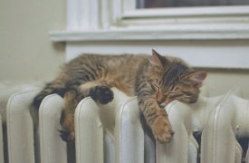 7 октября тепло пришло в 896 домов Тулы