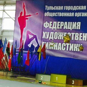 Более 300 гимнасток претендуют на Кубок Федераций Тульской области