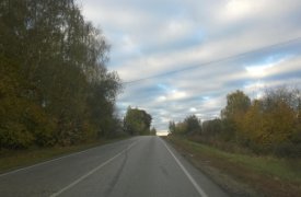 Под Тулой «ВАЗ» врезался в телегу с лошадью