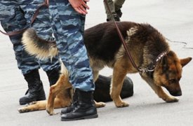 В Тульской области полицейские всю ночь искали пропавшую 10-летнюю девочку