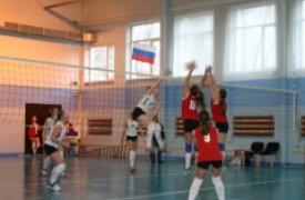 Тульские волейболисты вышли полуфинал Первенства России